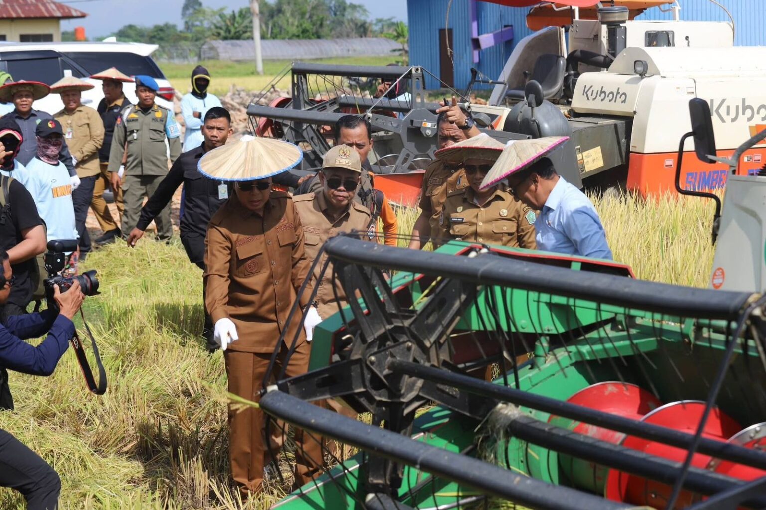 Bupati Dampingi Gubernur Sultra Saksikan Panen Perdana Pembiakan Benih Padi di Konawe