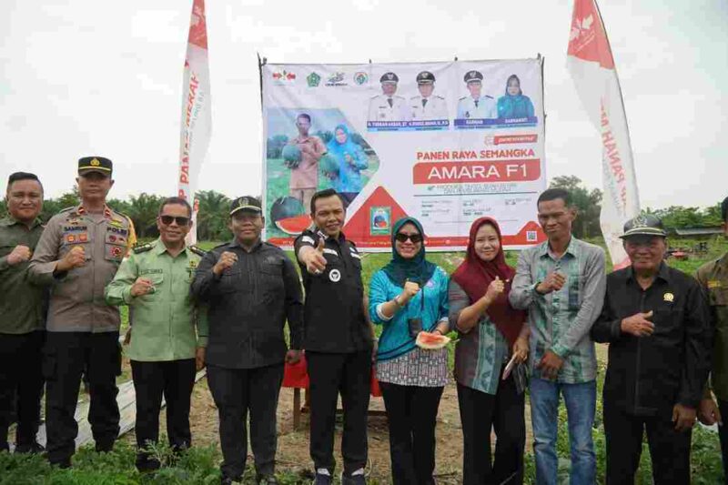 Panen Raya Semangka Meriah di Desa Waworaha, Bupati Konawe Tegaskan Dukungan untuk Petani