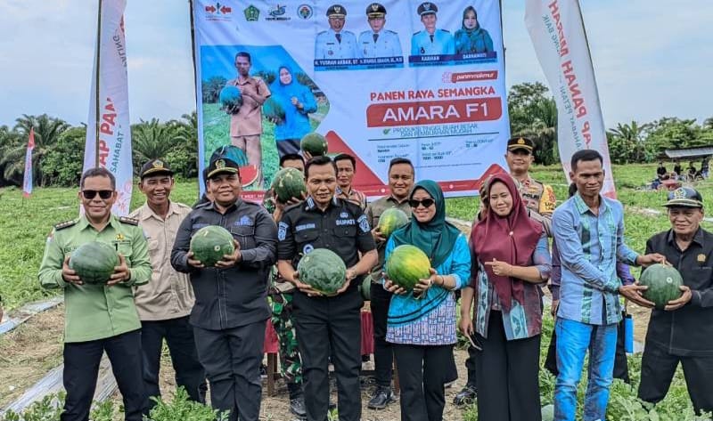 Panen Semangka di Lambuya, Bupati Konawe Respons Keluhan Banjir dan Infrastruktur Petani